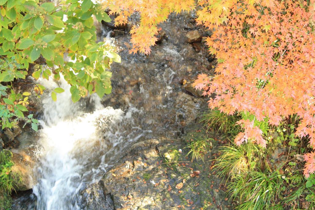 Yamadaya Ryokan 常陸太田市 エクステリア 写真
